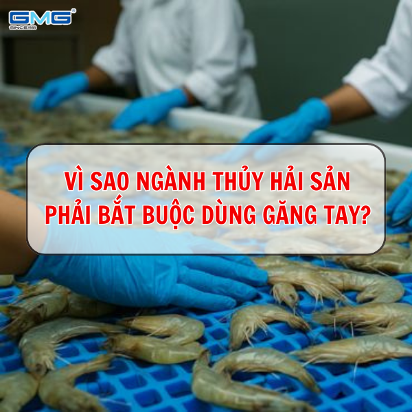 Găng tay chuyên dụng thủy hải sản – Vì sao ngành phải bắt buộc sử dụng?