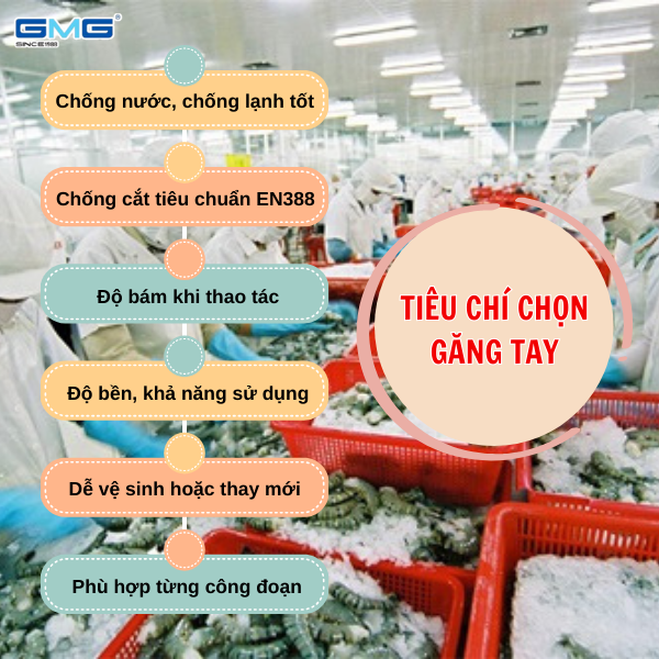 Tiêu chí chọn găng tay chuyên dụng thủy hải sản đạt chuẩn